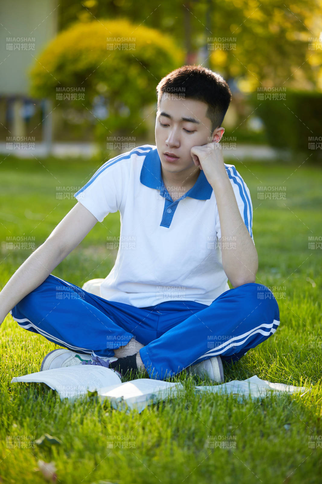 校园户外草坪上备战高考的高中生图片