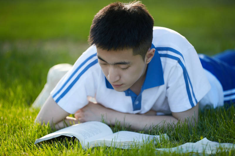 校园户外草坪上备战高考的高中生图片