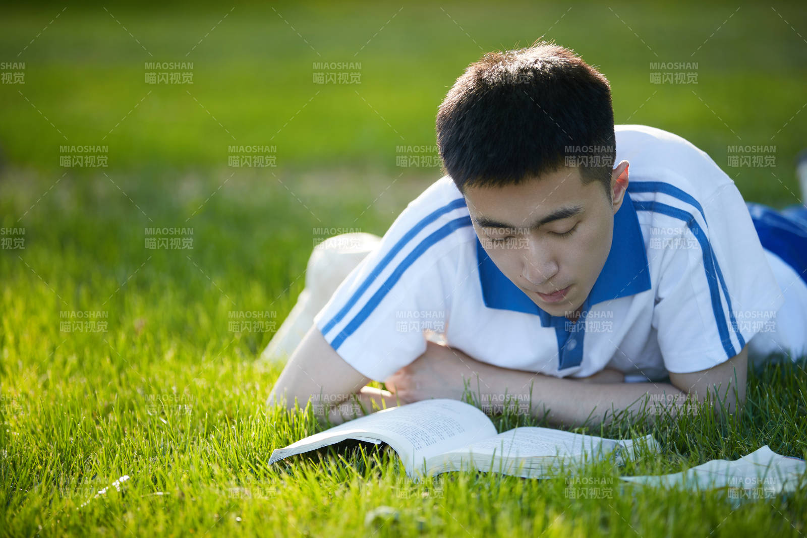 校园户外草坪上备战高考的高中生图片