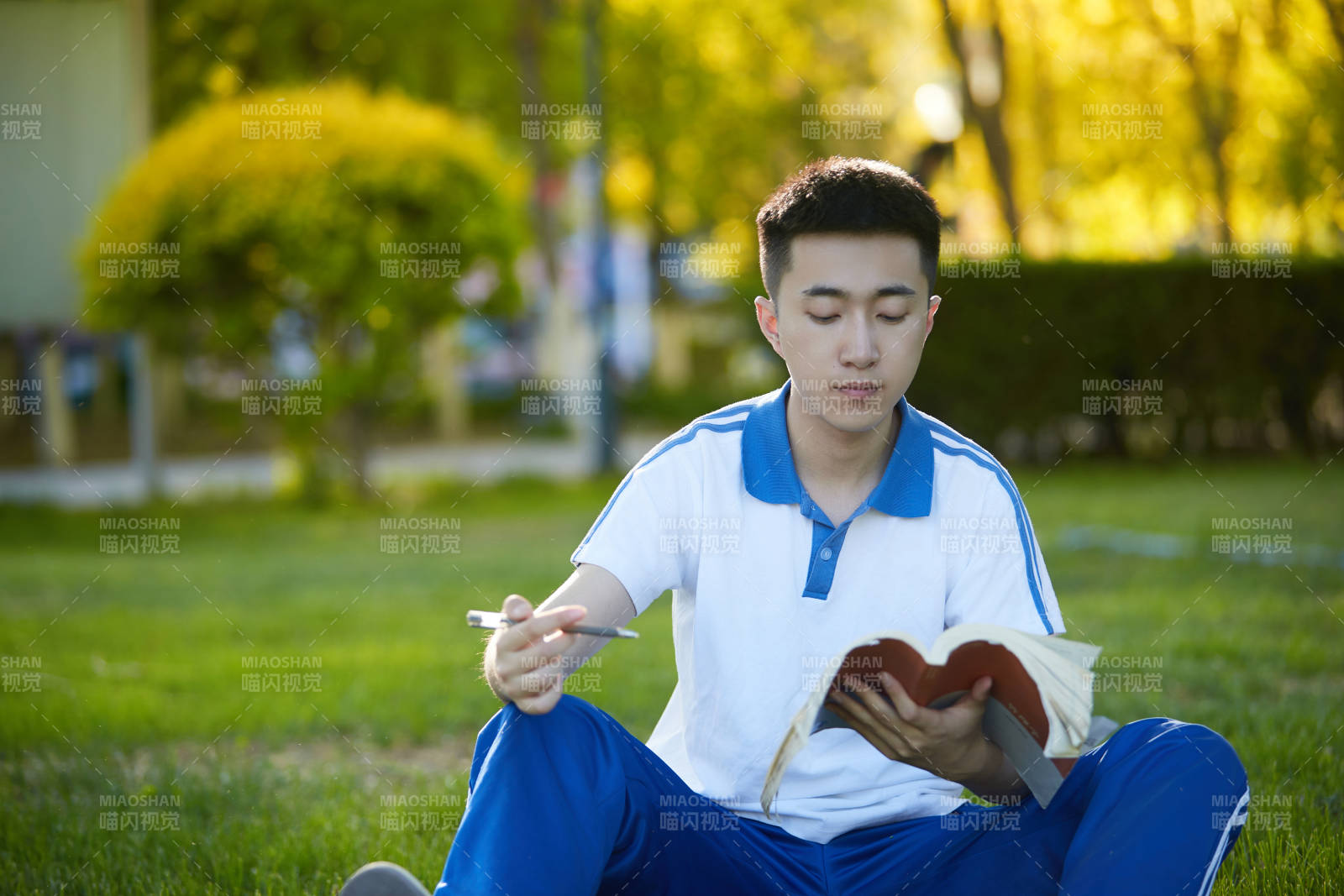 校园户外草坪上备战高考的高中生图片