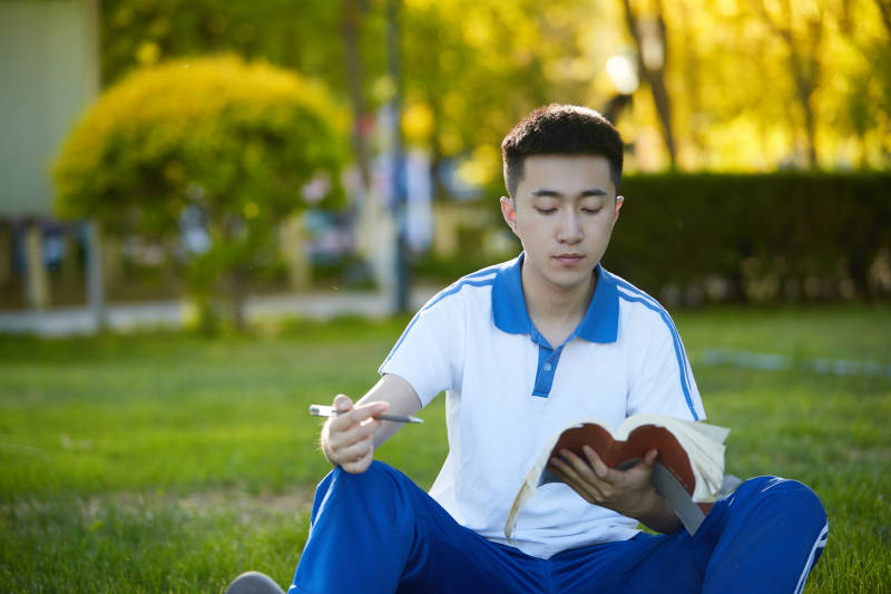 校园户外草坪上备战高考的高中生图片