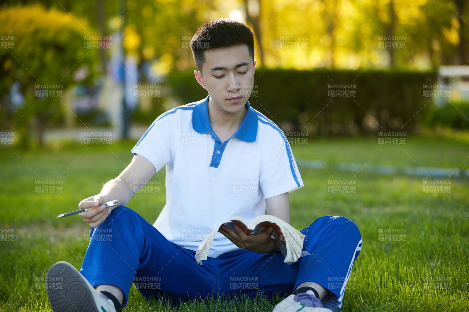 校园户外草坪上备战高考的高中生图片