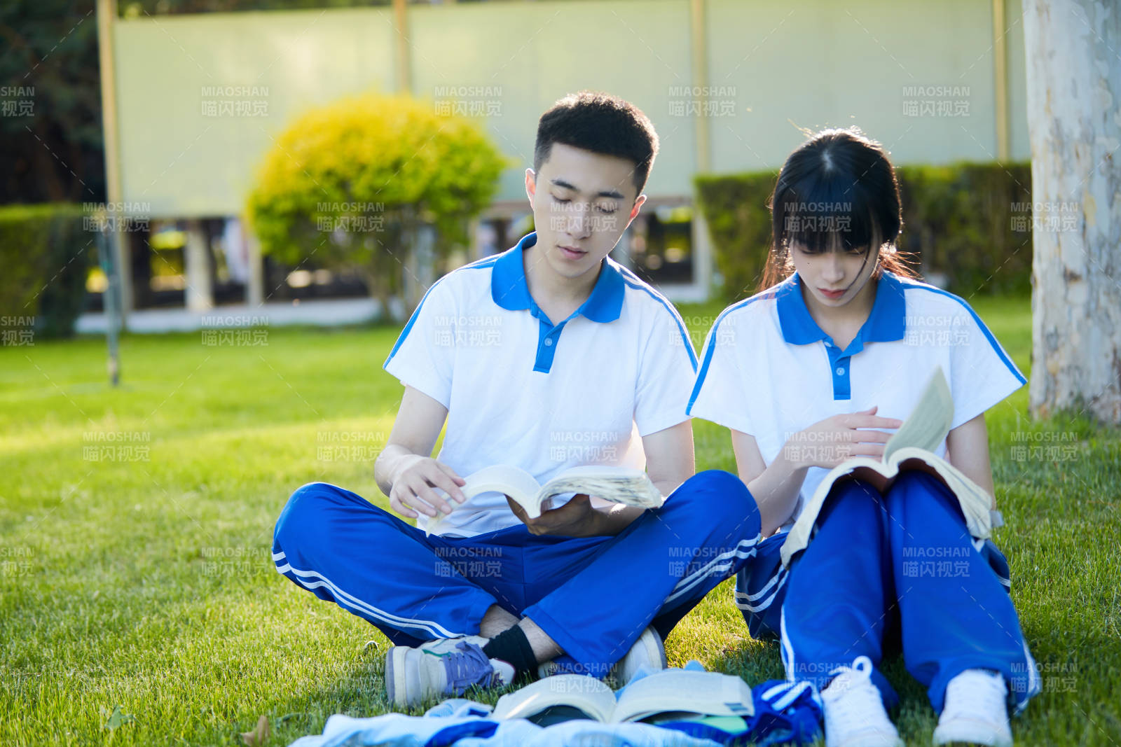校园户外草坪上备战高考的高中生图片