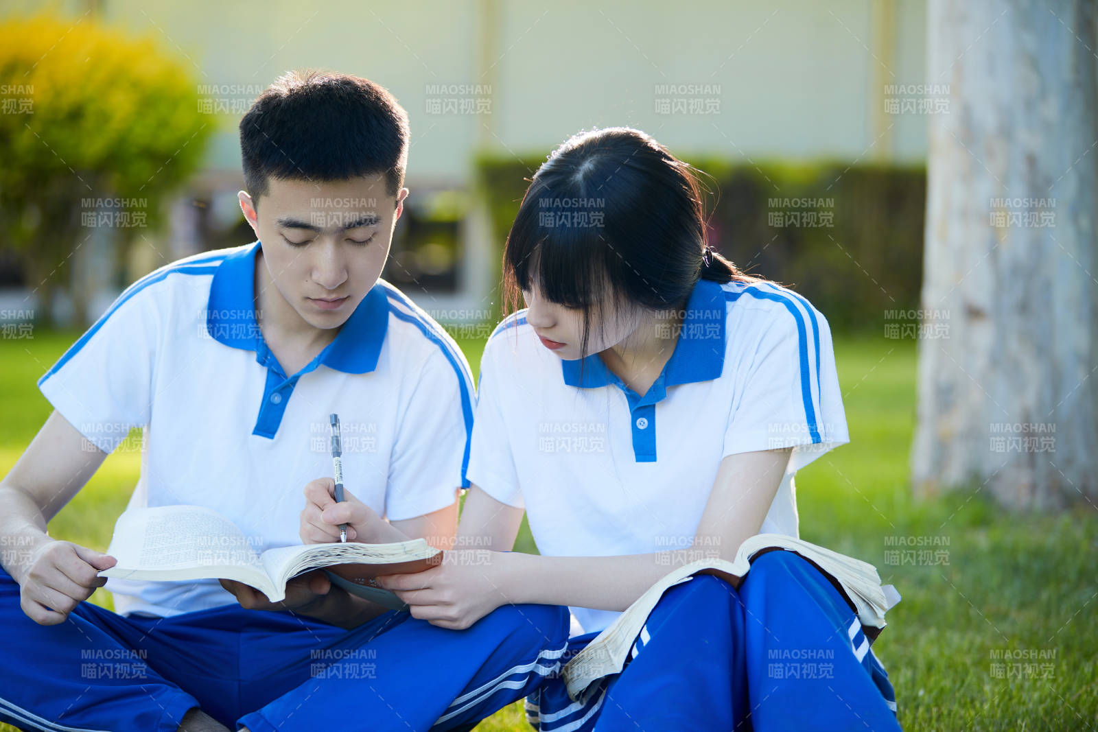 校园户外草坪上备战高考的高中生图片