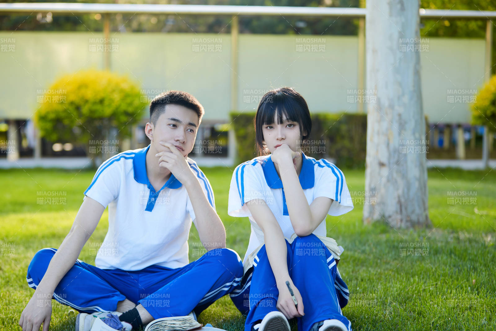 校园户外草坪上备战高考的高中生图片
