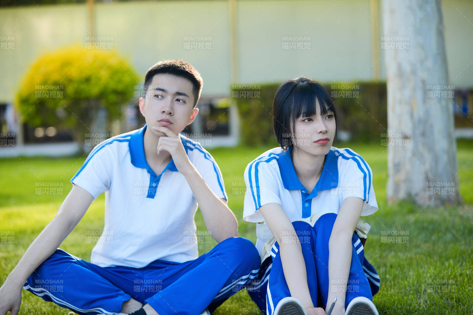 校园户外草坪上备战高考的高中生图片