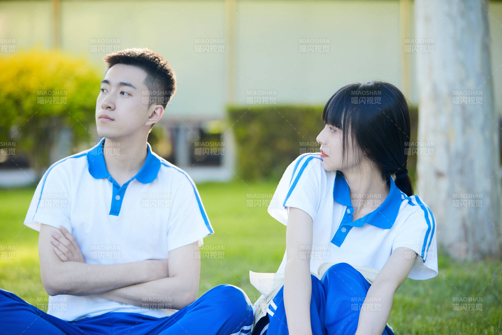 校园户外草坪上备战高考的高中生图片