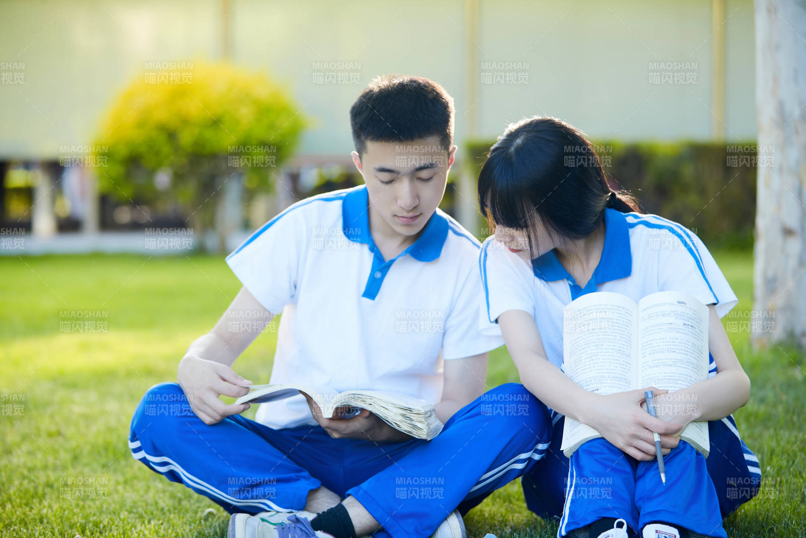 校园户外草坪上备战高考的高中生图片