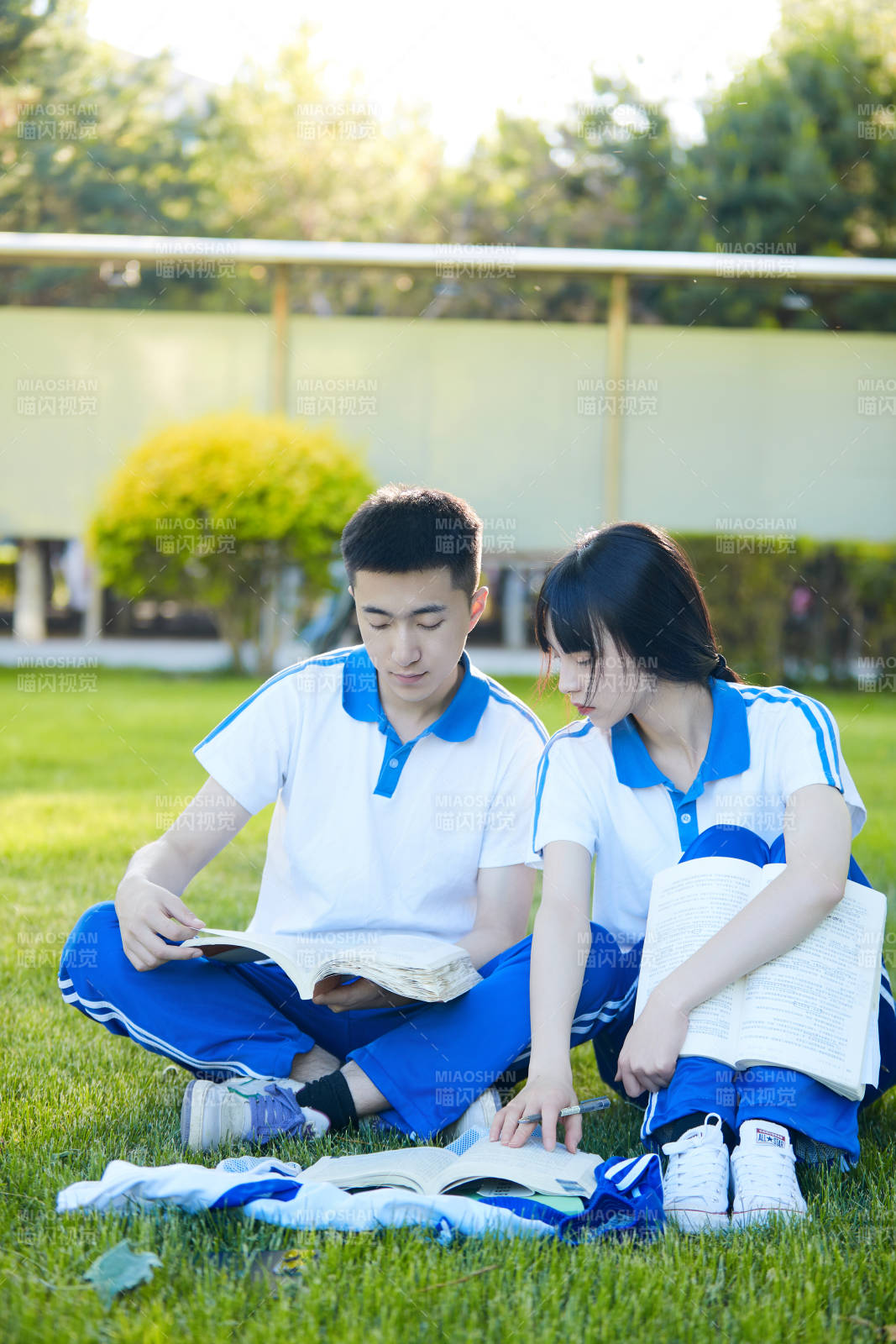 校园户外草坪上备战高考的高中生图片