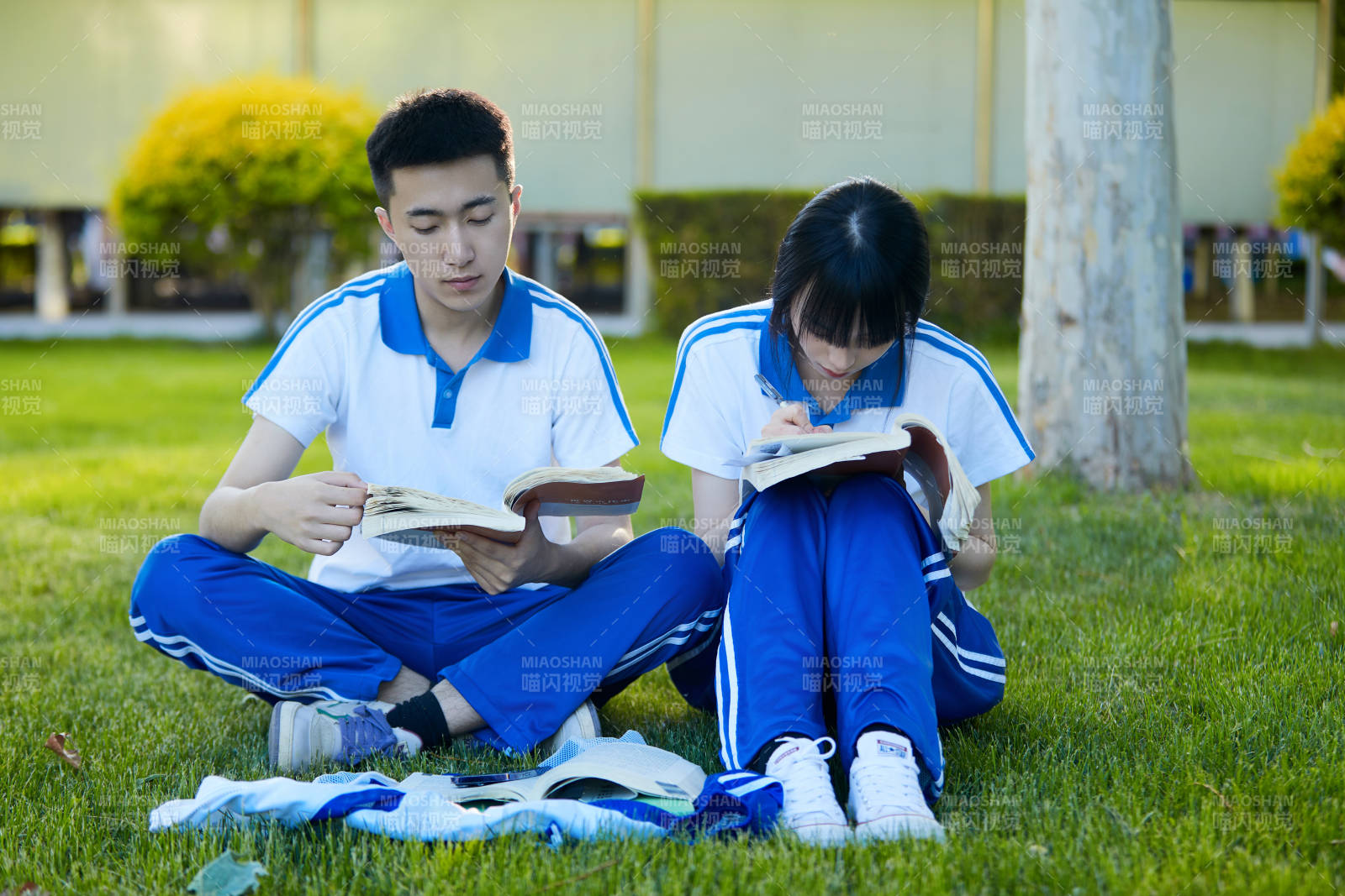 校园户外草坪上备战高考的高中生图片