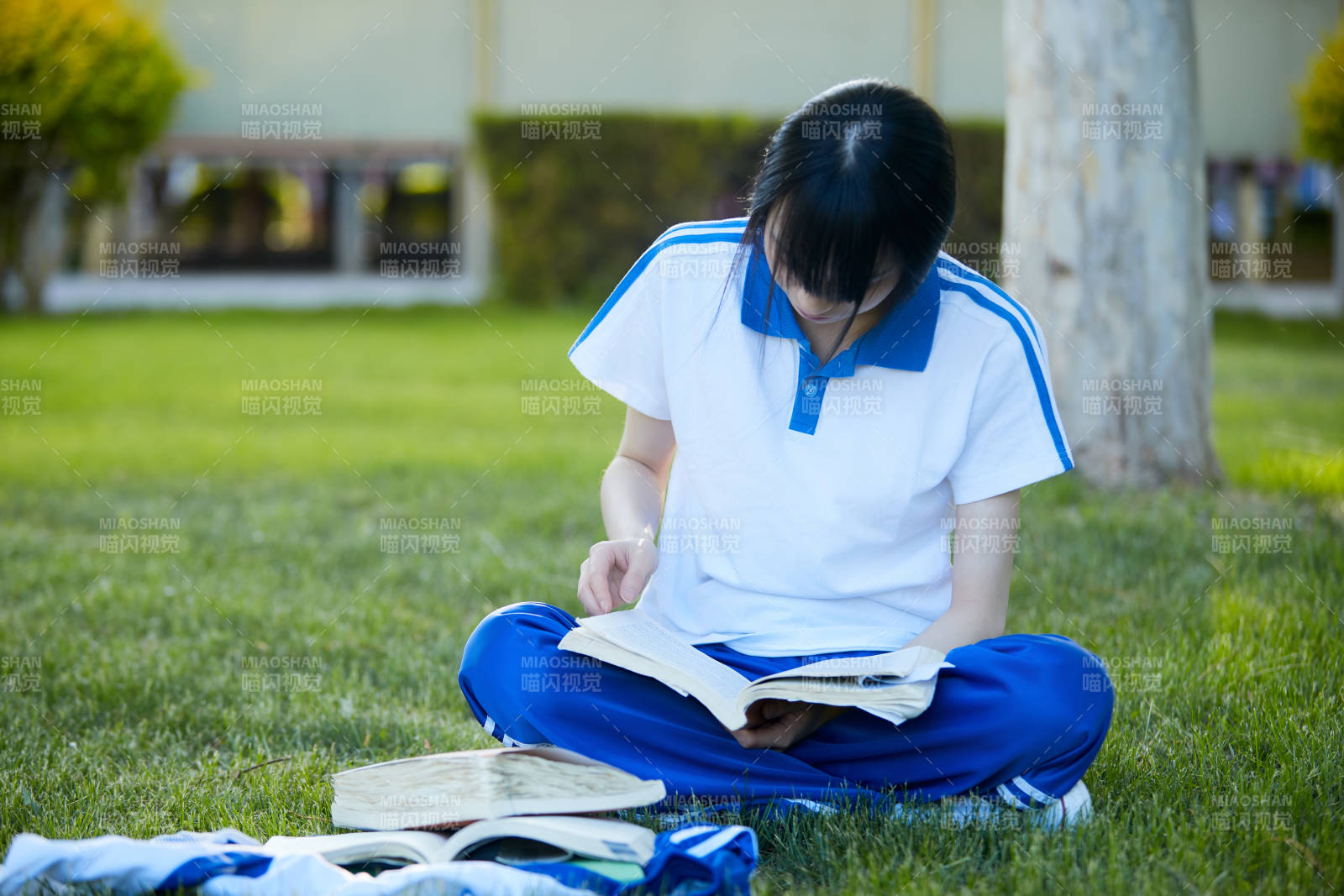 校园户外草坪上备战高考的高中生图片