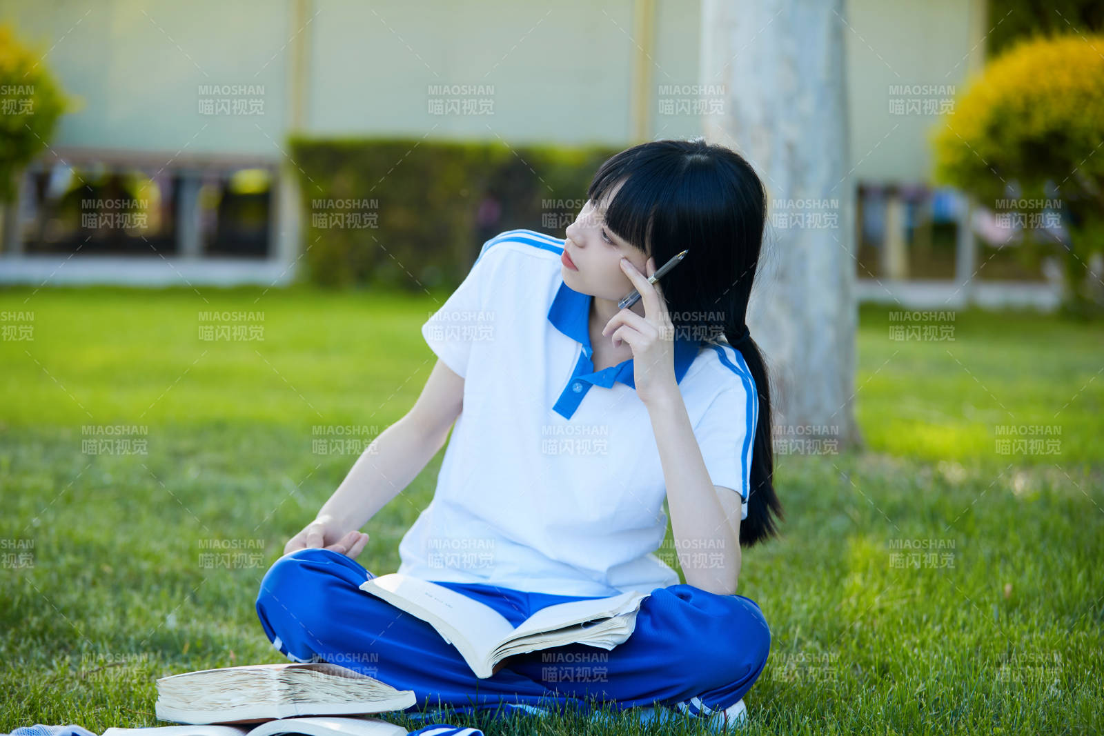 校园户外草坪上备战高考的高中生图片