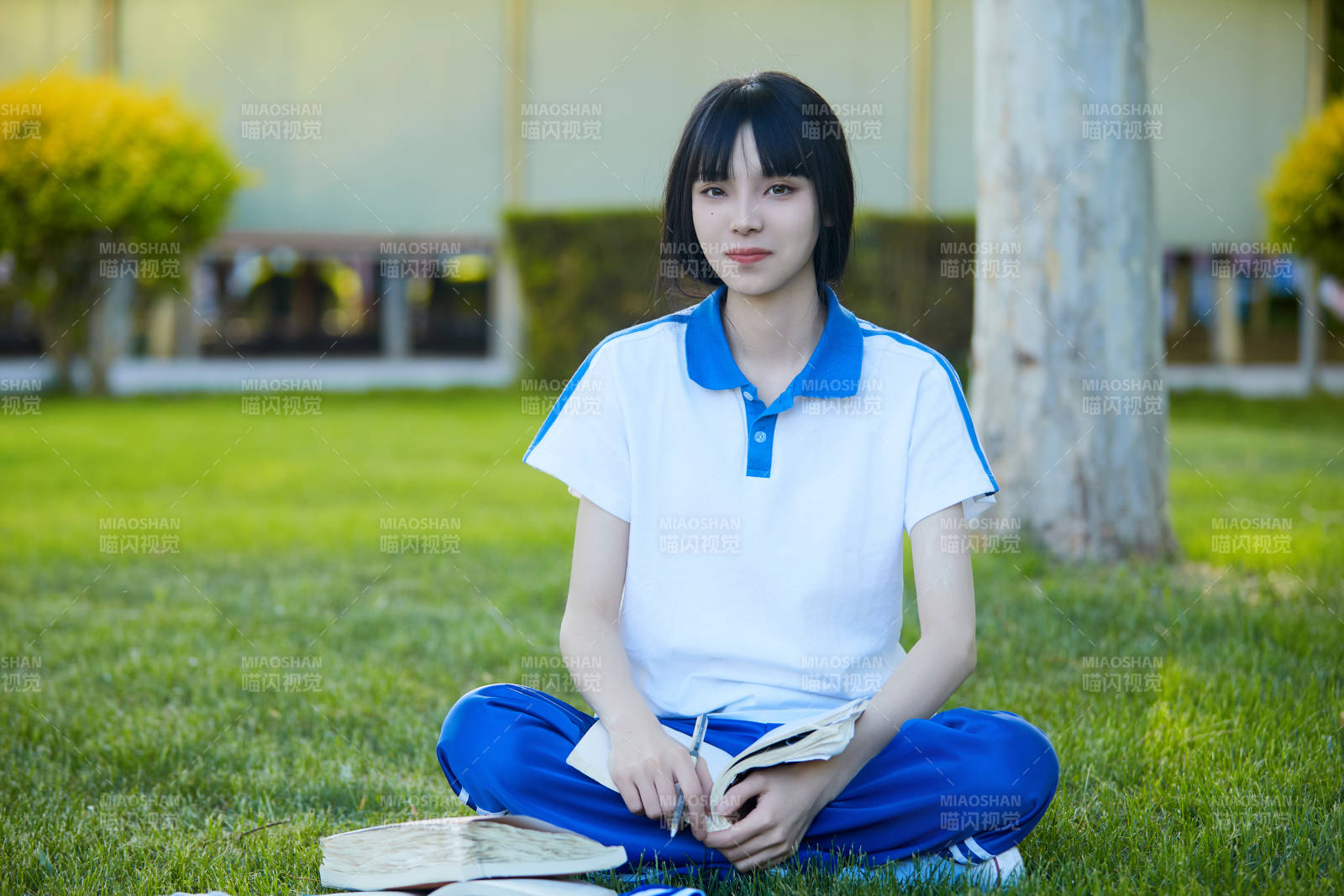 校园户外草坪上备战高考的高中生图片