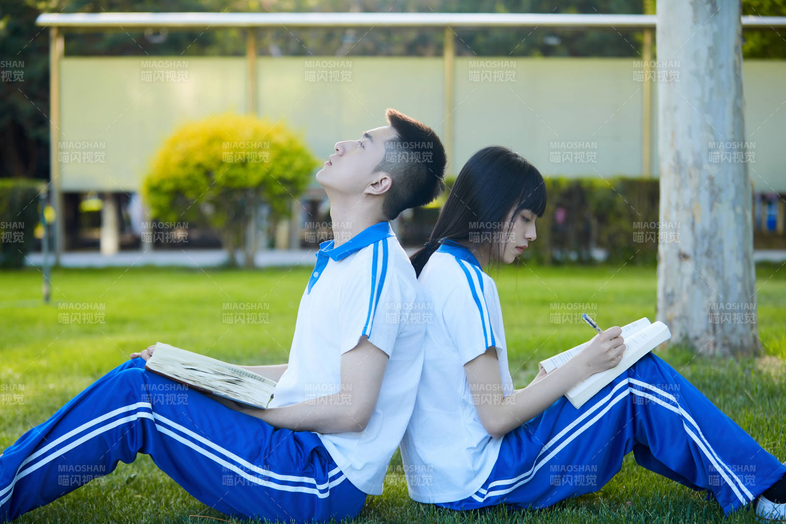 校园户外草坪上备战高考的高中生图片