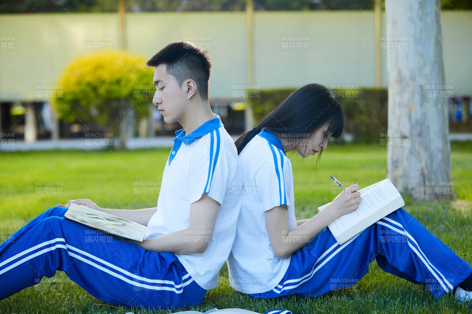 校园户外草坪上备战高考的高中生图片