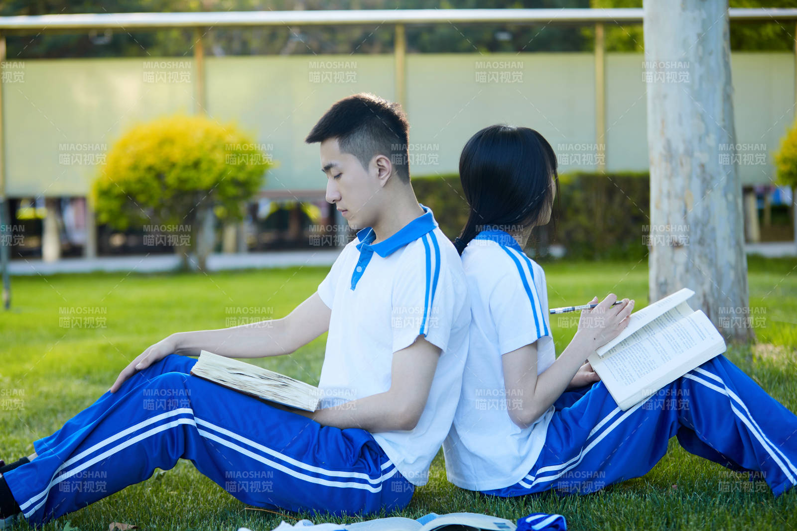 校园户外草坪上备战高考的高中生图片