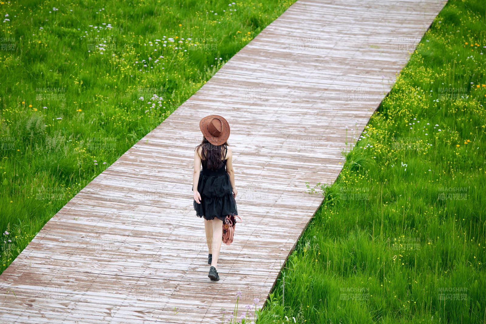 夏季在坝草原草甸拍照打卡的亚洲美女图片