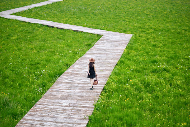 夏季在坝草原草甸拍照打卡的亚洲美女图片