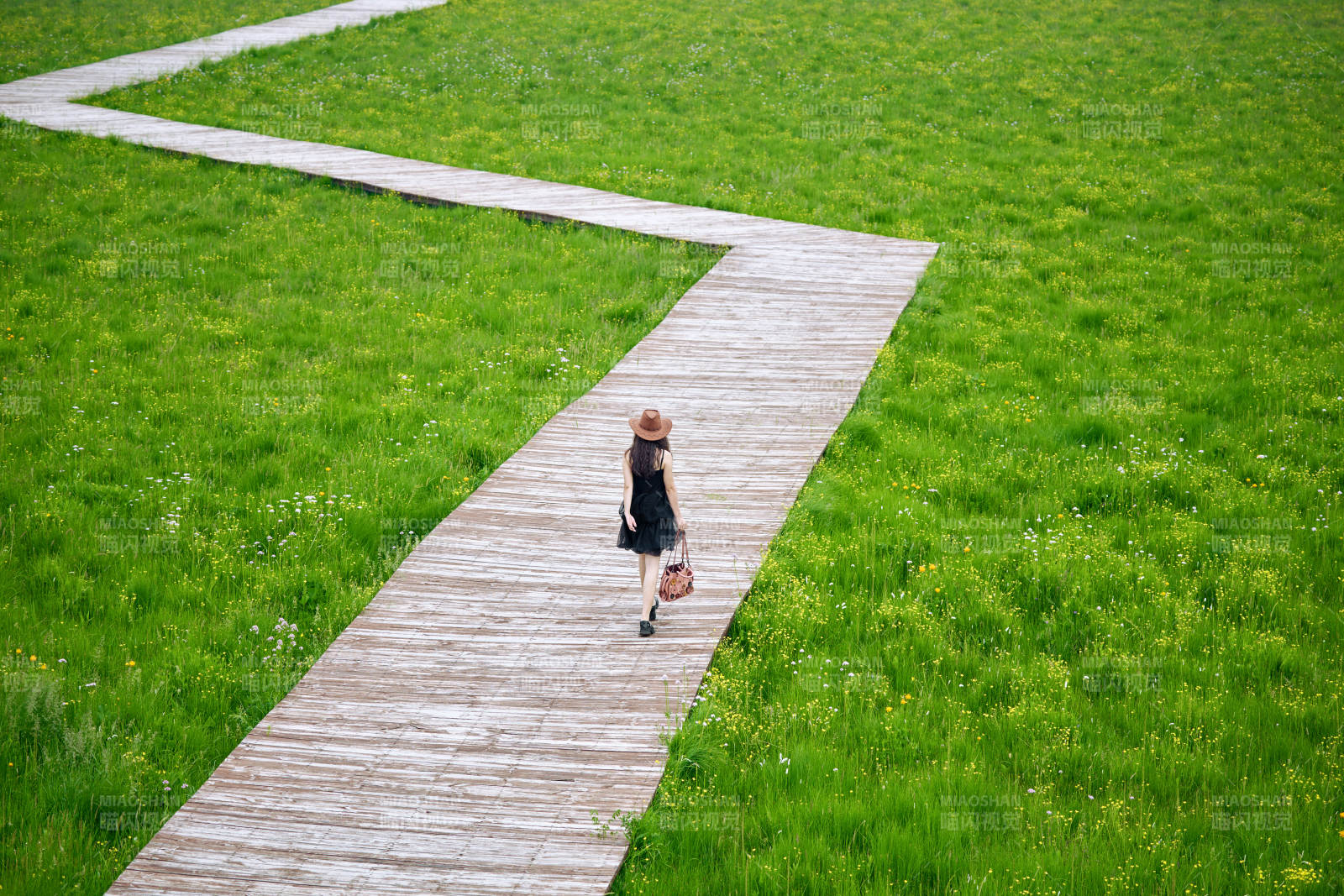夏季在坝草原草甸拍照打卡的亚洲美女图片