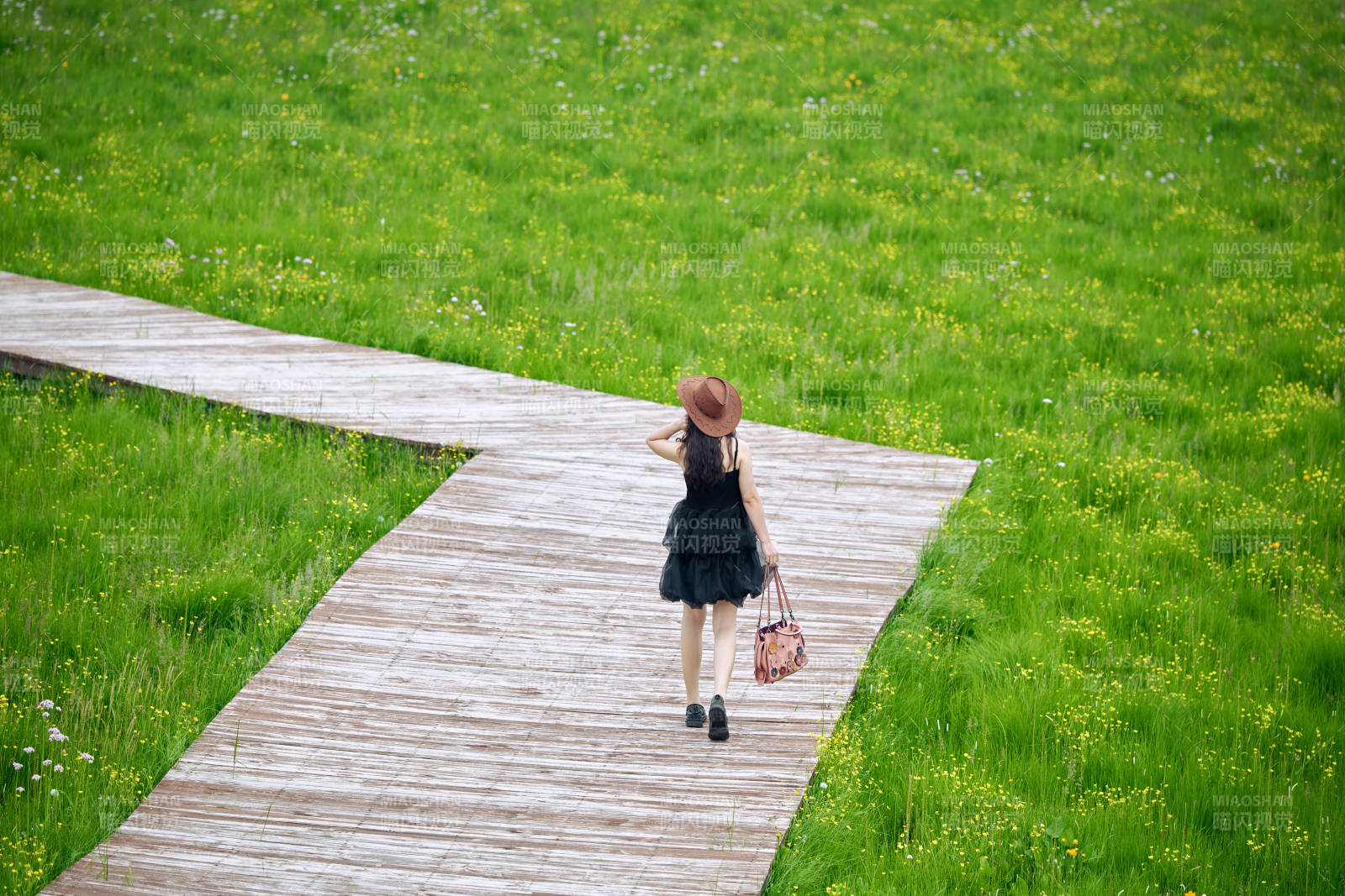 夏季在坝草原草甸拍照打卡的亚洲美女图片