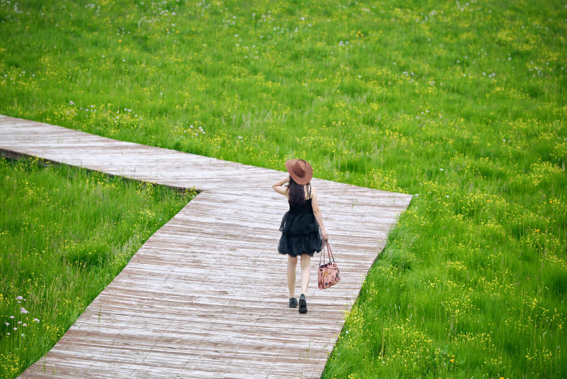 夏季在坝草原草甸拍照打卡的亚洲美女图片
