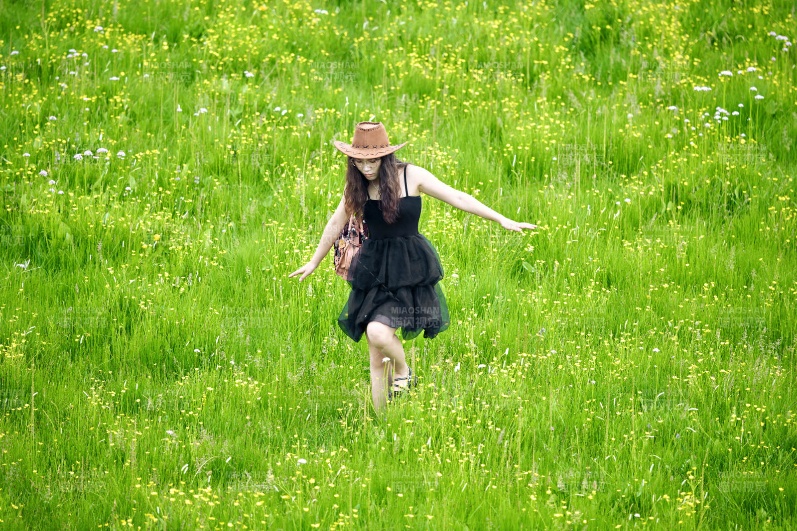 夏季在坝草原草甸拍照打卡的亚洲美女图片