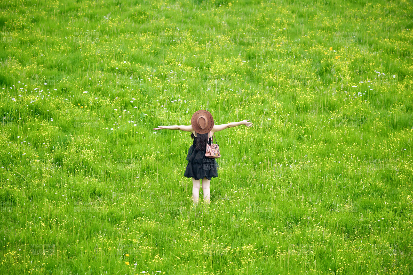 夏季在坝草原草甸拍照打卡的亚洲美女图片