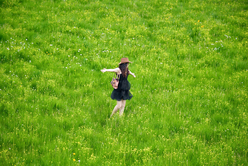 夏季在坝草原草甸拍照打卡的亚洲美女图片