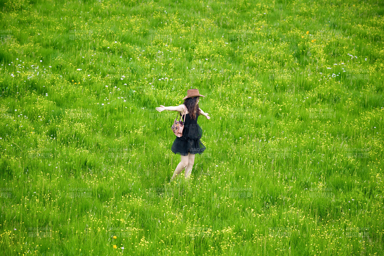 夏季在坝草原草甸拍照打卡的亚洲美女图片