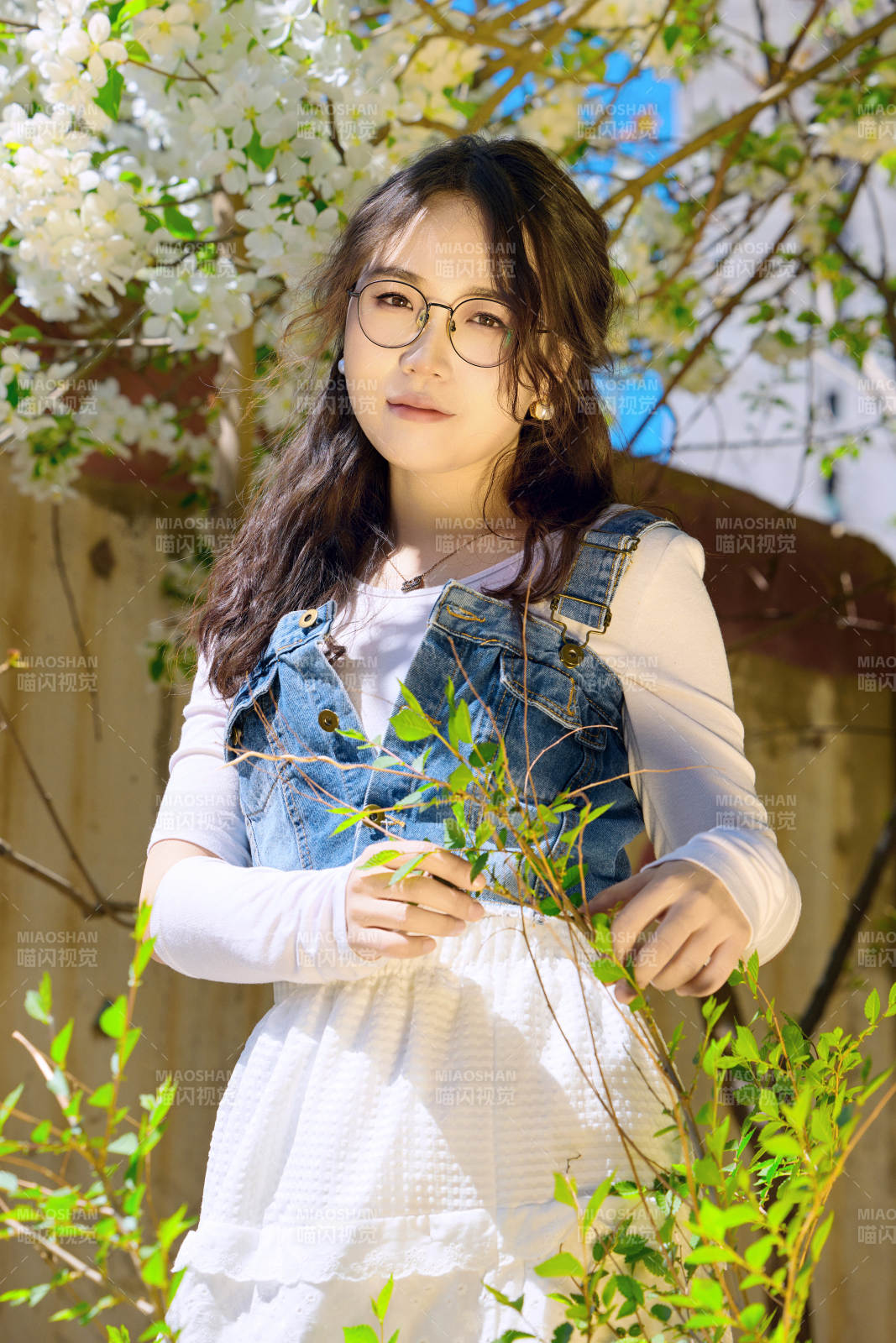 春天在梨花树下拍照的东方美女图片