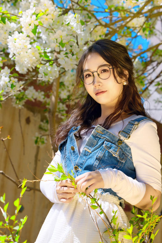 春天在梨花树下拍照的东方美女图片