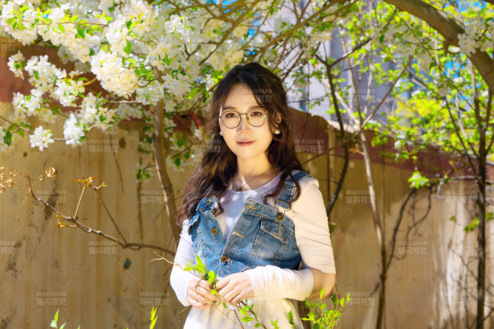 春天在梨花树下拍照的东方美女图片