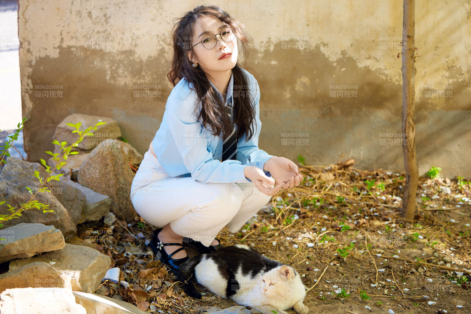 在小区里投喂流浪猫咪的东方女性图片