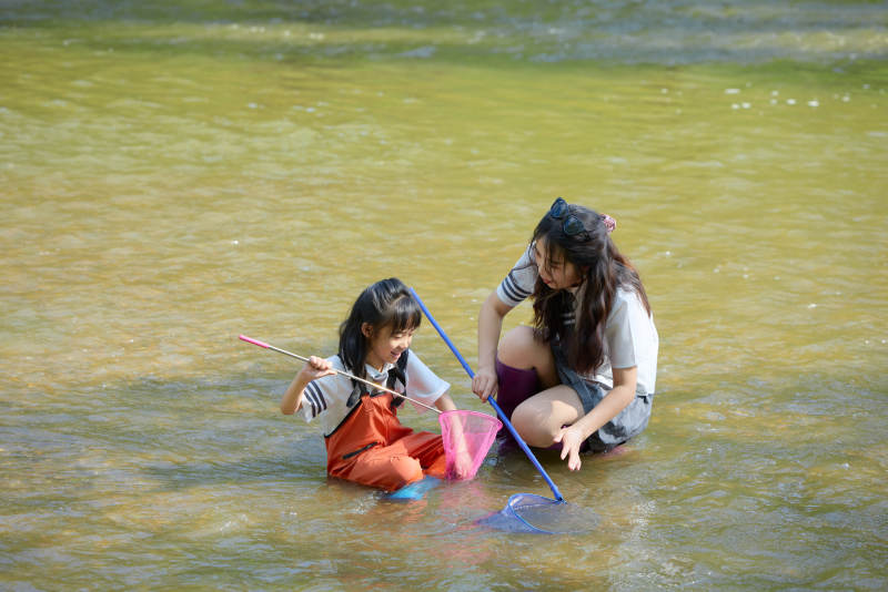 夏天在户外溪流捕捉鱼虾的母女亲子图片