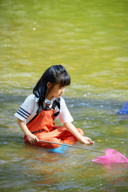 在溪流玩耍捕鱼的可爱亚洲女童图片