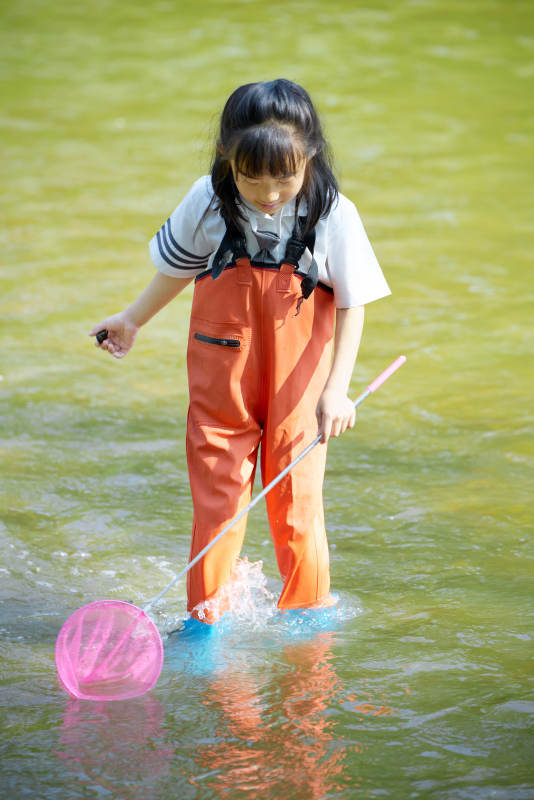在溪流玩耍捕鱼的可爱亚洲女童图片
