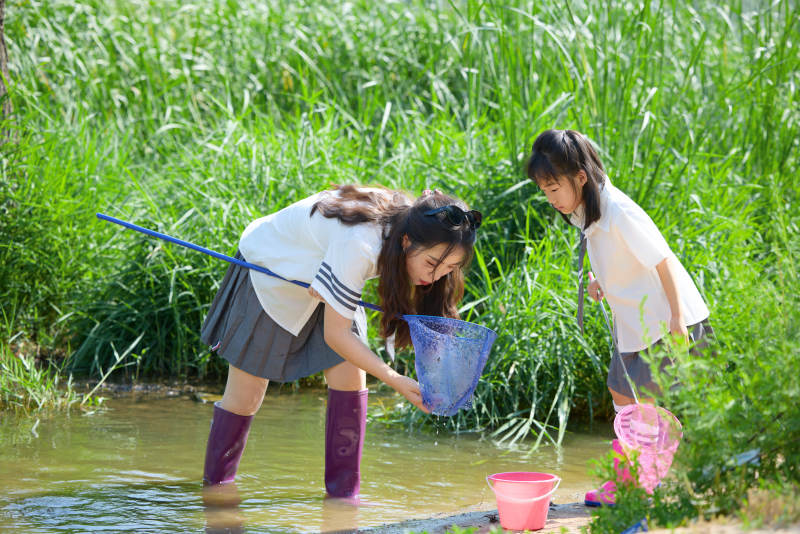夏天在户外溪流捕捉鱼虾的母女亲子图片