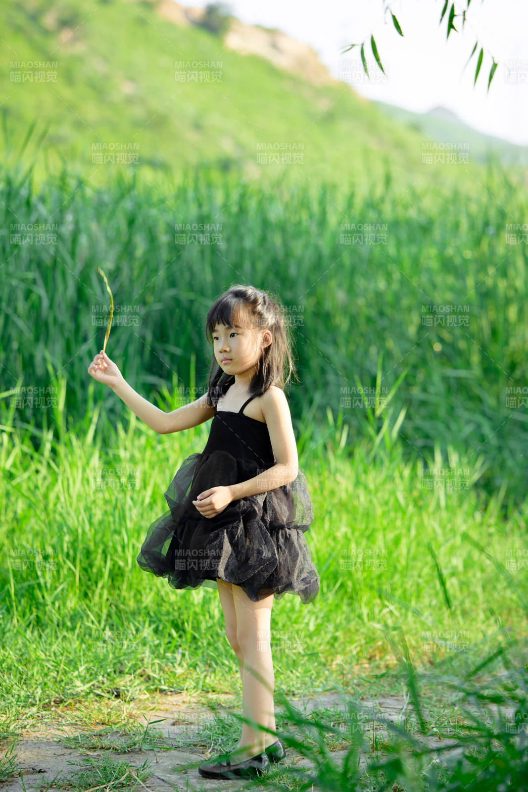 夏季在户外玩耍游玩的可爱亚洲女童图片