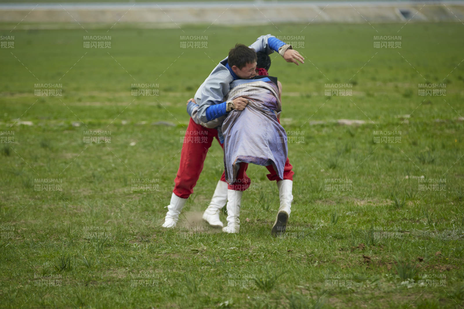 草原那达慕大会上的蒙古摔跤手图片