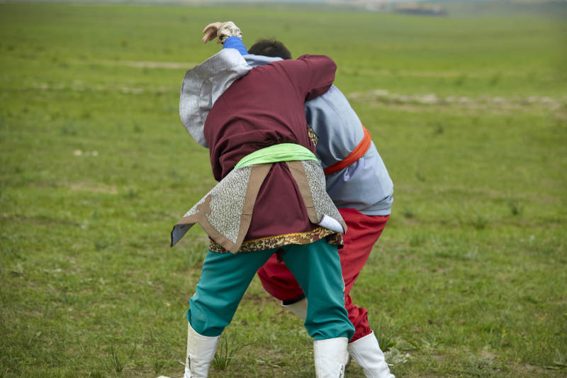 草原那达慕大会上的蒙古摔跤手图片