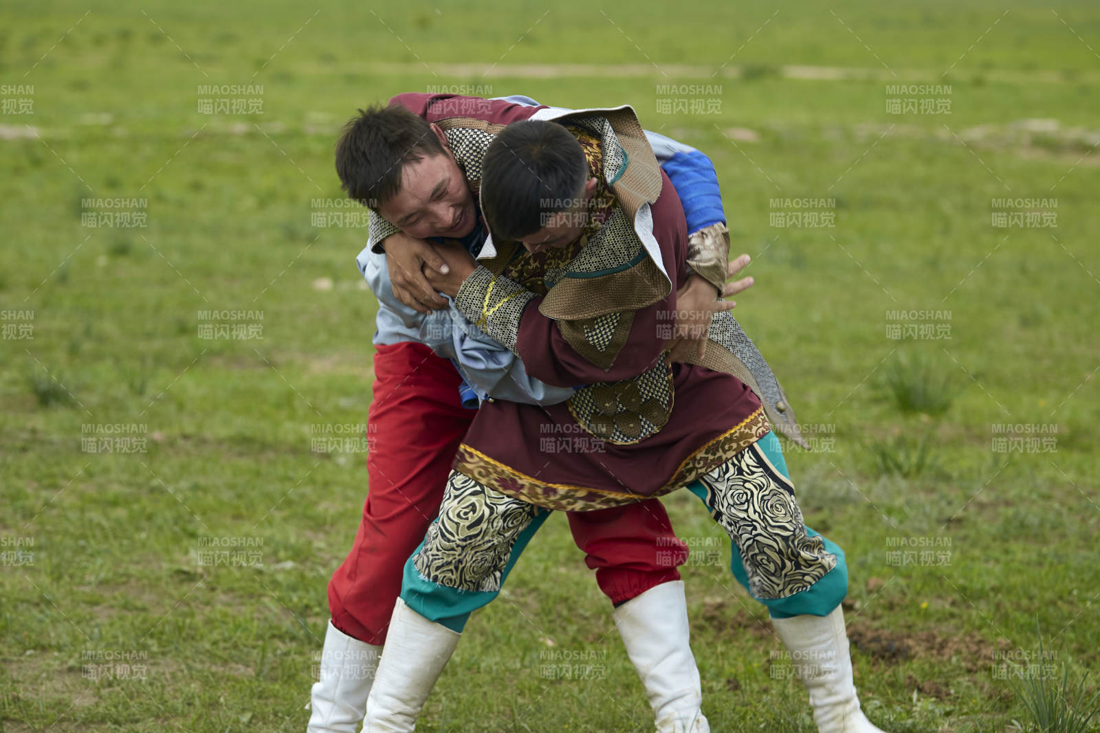 草原那达慕大会上的蒙古摔跤手图片