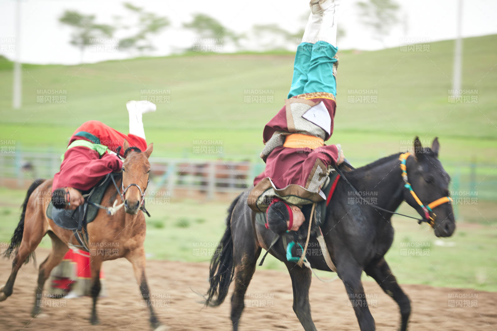 河北省沽源县库伦淖尔景区的蒙古马术表演图片