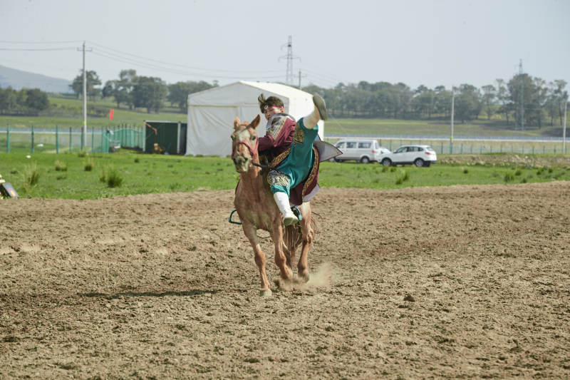 河北省沽源县库伦淖尔景区的蒙古马术表演图片