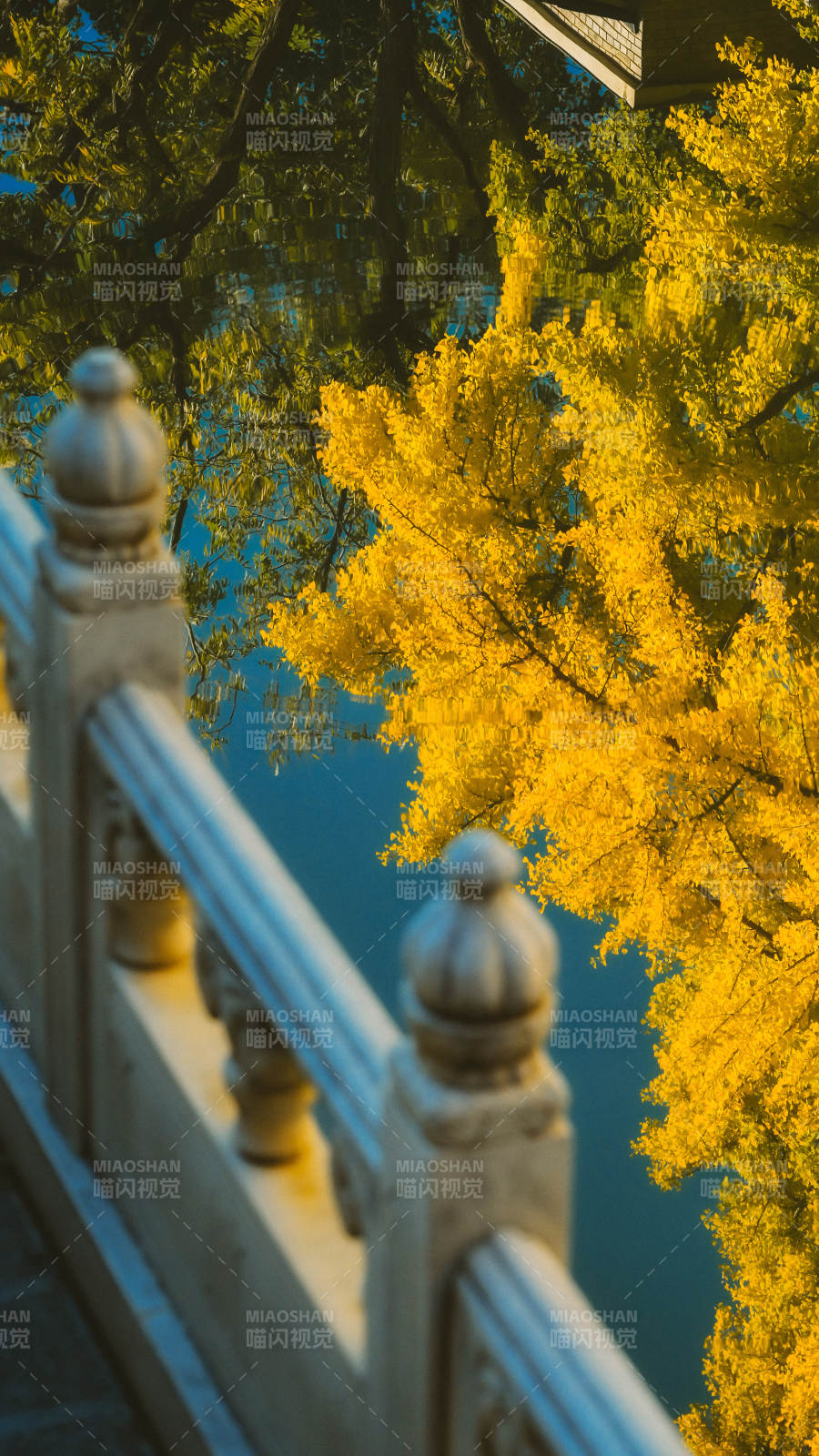 秋色映桥栏图片