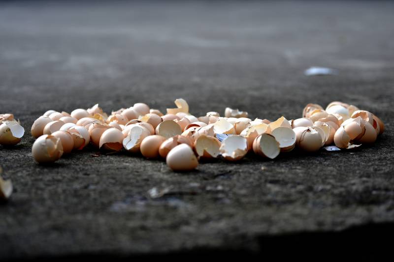 蛋壳散落一地图片