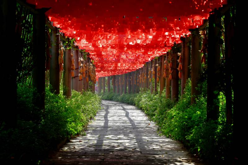 美丽乡村新农村建设长廊图片