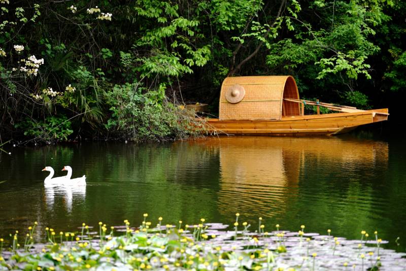 湖畔竹舟静谧景图片