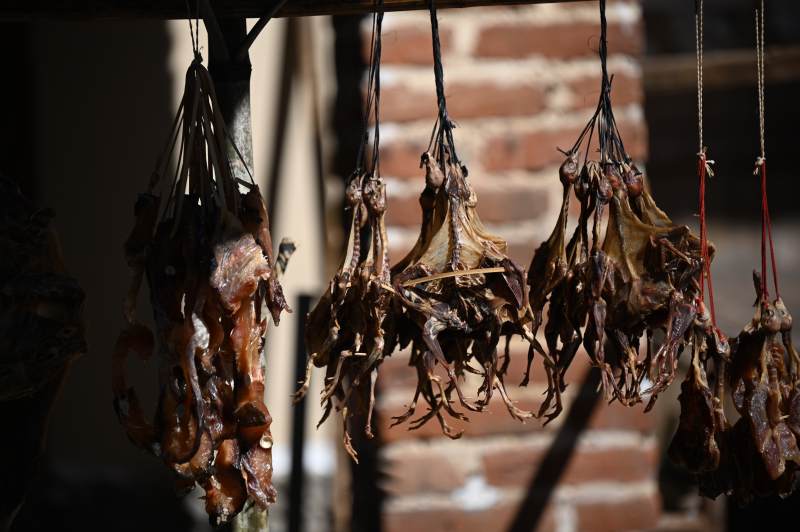 风干的鸭子悬挂着图片