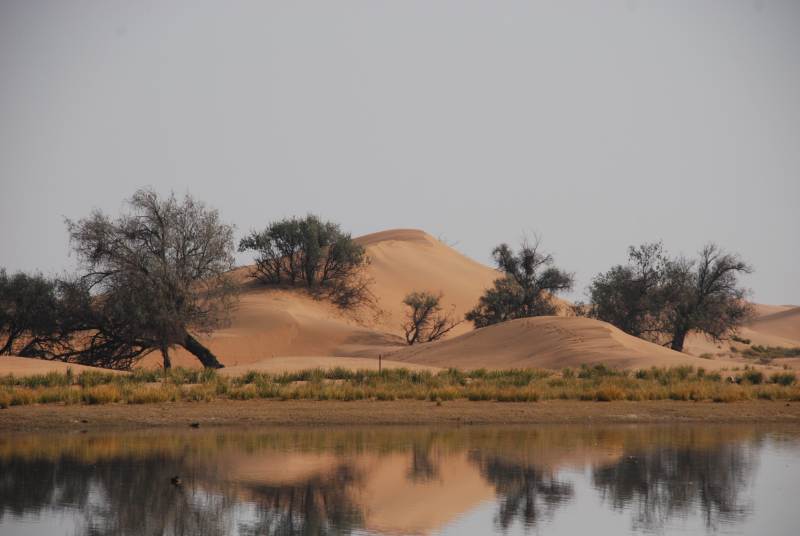 腾格里沙漠绿洲倒影图片