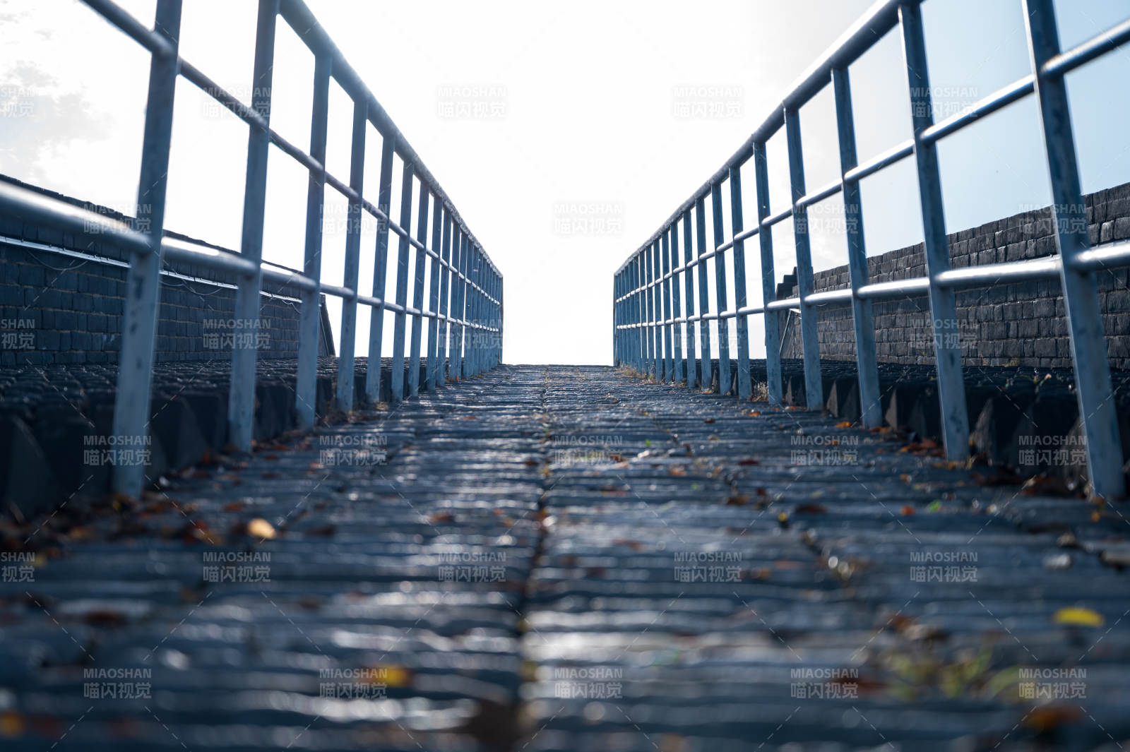 桥上秋叶飘落图片